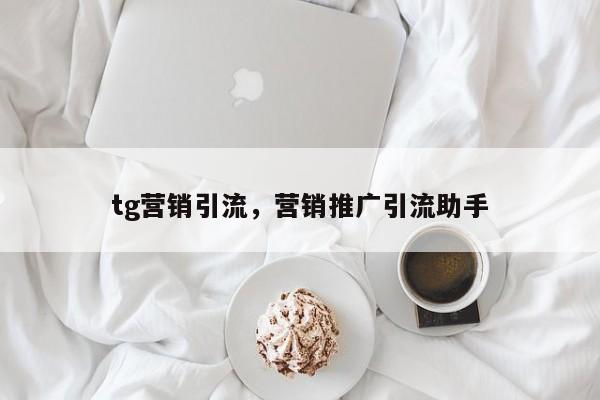 tg营销引流，营销推广引流助手