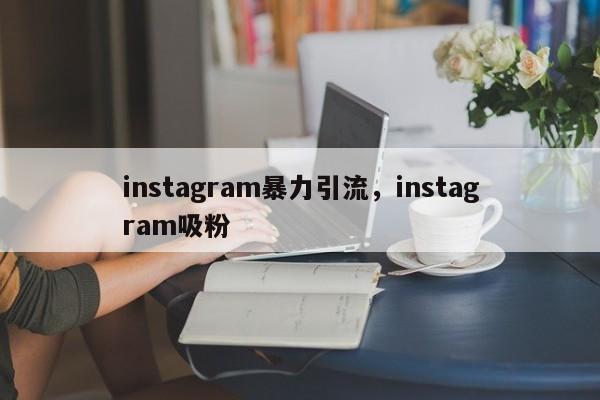 instagram暴力引流，instagram吸粉