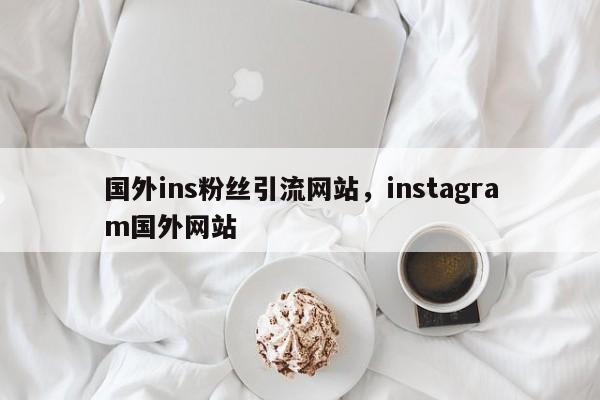 国外ins粉丝引流网站，instagram国外网站