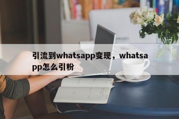 引流到whatsapp变现，whatsapp怎么引粉
