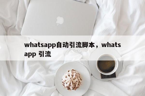whatsapp自动引流脚本，whatsapp 引流