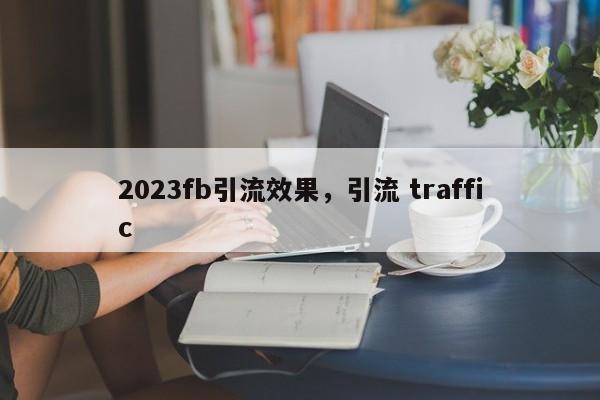2023fb引流效果，引流 traffic