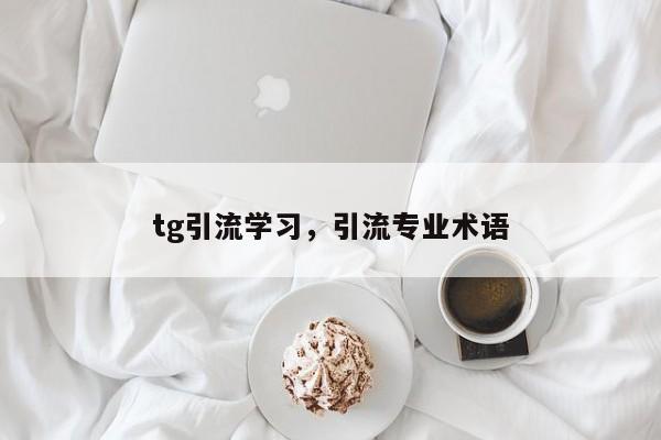 tg引流学习，引流专业术语