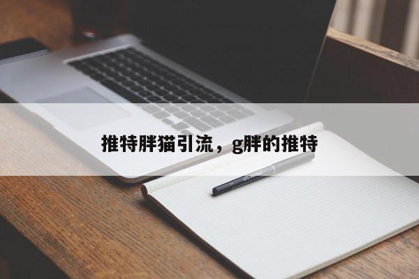 推特胖猫引流，g胖的推特