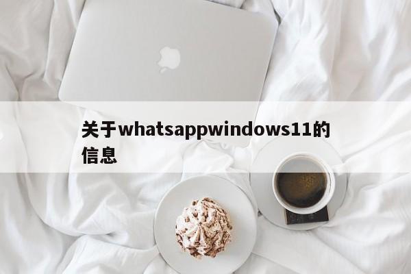 关于whatsappwindows11的信息