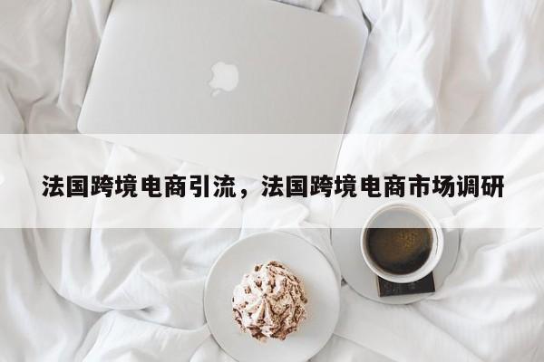 法国跨境电商引流，法国跨境电商市场调研