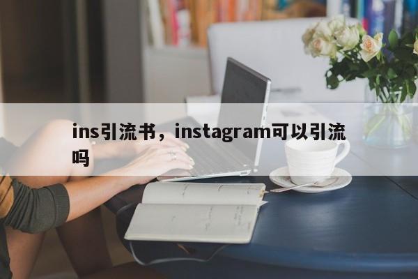 ins引流书，instagram可以引流吗