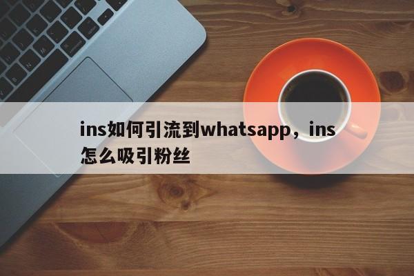 ins如何引流到whatsapp，ins怎么吸引粉丝