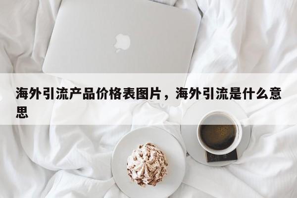 海外引流产品价格表图片，海外引流是什么意思