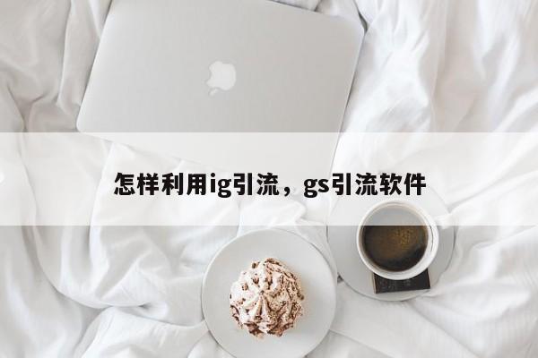 怎样利用ig引流，gs引流软件
