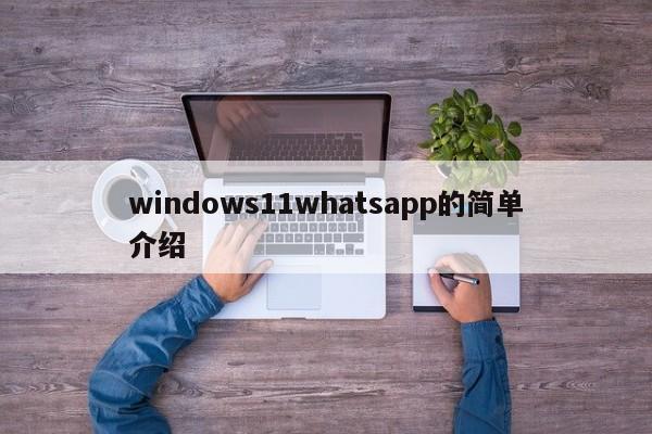 windows11whatsapp的简单介绍