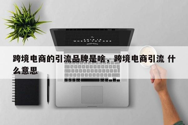 跨境电商的引流品牌是啥，跨境电商引流 什么意思