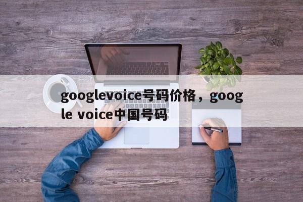 googlevoice号码价格,google voice中国号码