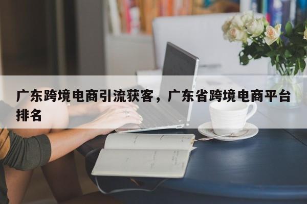 广东跨境电商引流获客，广东省跨境电商平台排名