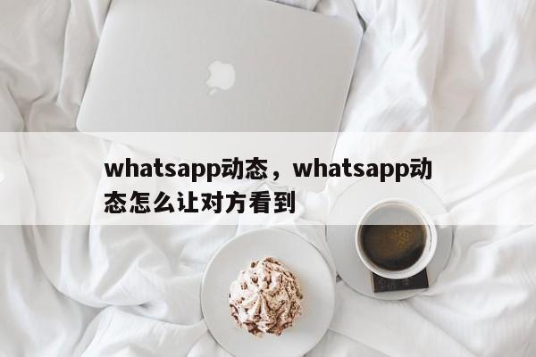 whatsapp动态，whatsapp动态怎么让对方看到