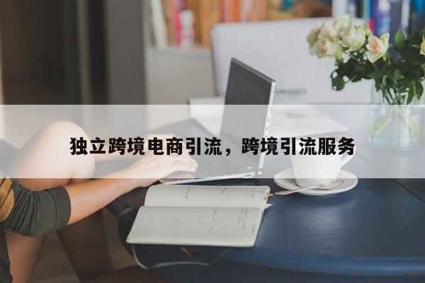 独立跨境电商引流,跨境引流服务