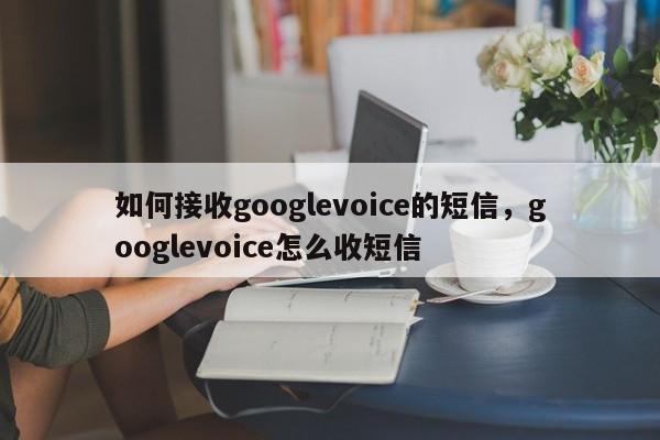 如何接收googlevoice的短信,googlevoice怎么收短信