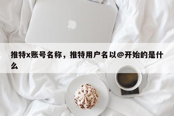 推特x账号名称，推特用户名以@开始的是什么