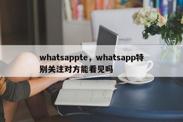 whatsappte，whatsapp特别关注对方能看见吗
