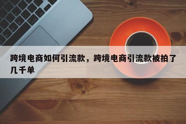 跨境电商如何引流款，跨境电商引流款被拍了几千单