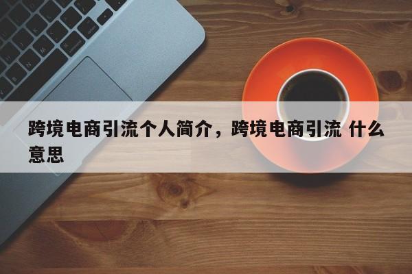 跨境电商引流个人简介，跨境电商引流 什么意思