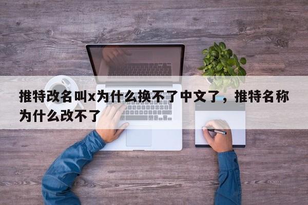 推特改名叫x为什么换不了中文了，推特名称为什么改不了