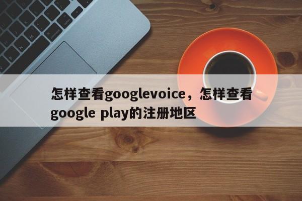 怎样查看googlevoice,怎样查看google play的注册地区