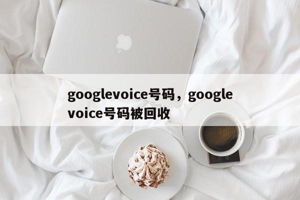 googlevoice号码，googlevoice号码被回收