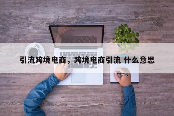 引流跨境电商，跨境电商引流 什么意思