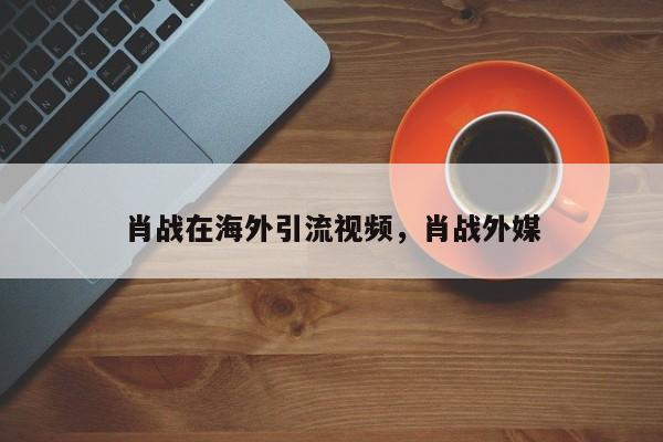肖战在海外引流视频，肖战外媒