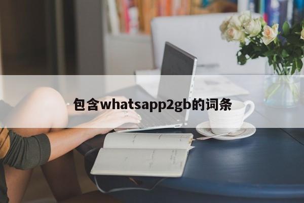 包含whatsapp2gb的词条