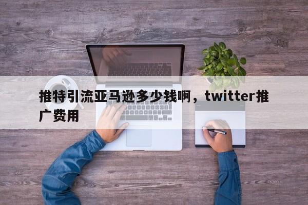 推特引流亚马逊多少钱啊，twitter推广费用