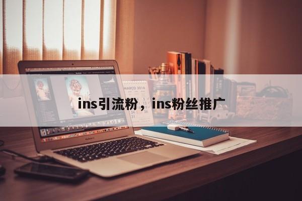 ins引流粉，ins粉丝推广