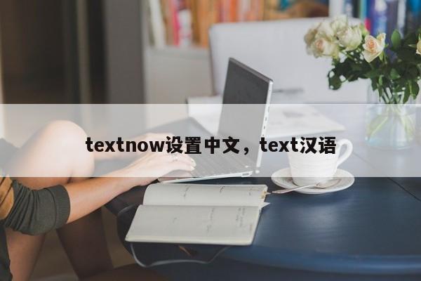 textnow设置中文，text汉语