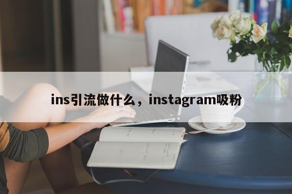 ins引流做什么，instagram吸粉