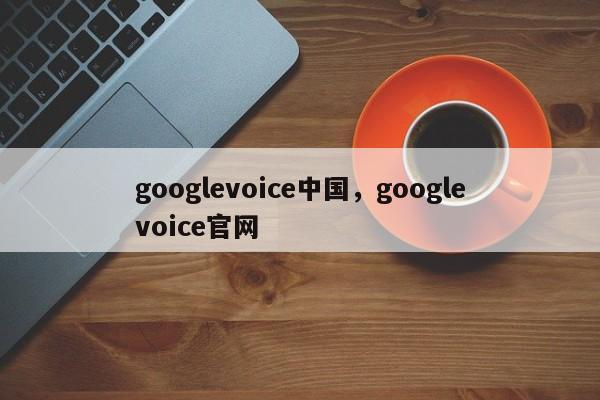 googlevoice中国,googlevoice官网