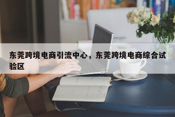 东莞跨境电商引流中心，东莞跨境电商综合试验区