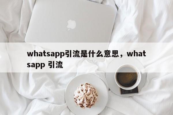 whatsapp引流是什么意思，whatsapp 引流