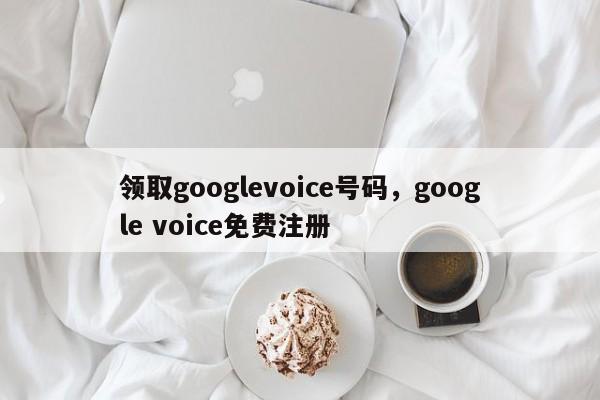 领取googlevoice号码,google voice免费注册
