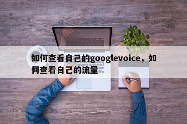 如何查看自己的googlevoice,如何查看自己的流量