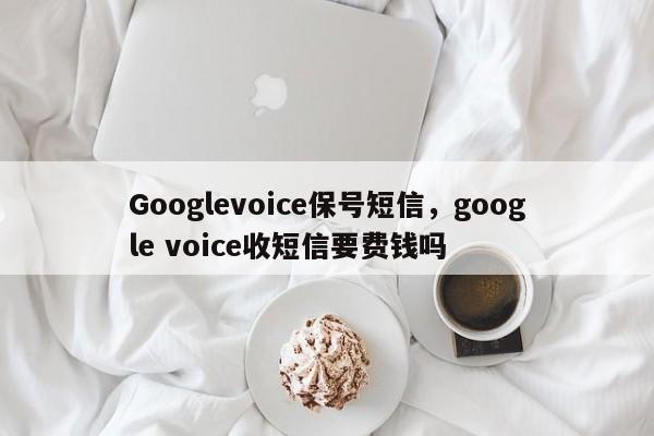 Googlevoice保号短信,google voice收短信要费钱吗