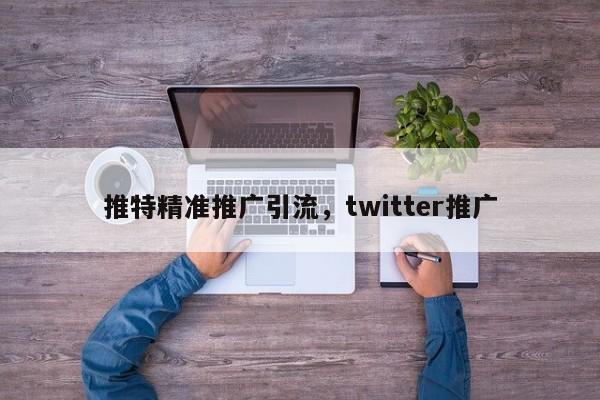 推特精准推广引流，twitter推广