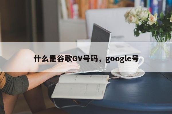 什么是谷歌GV号码,google号