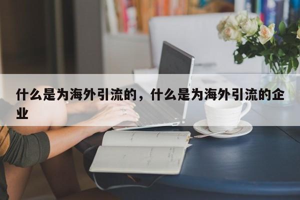 什么是为海外引流的,什么是为海外引流的企业