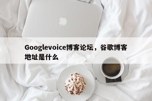 Googlevoice博客论坛,谷歌博客地址是什么