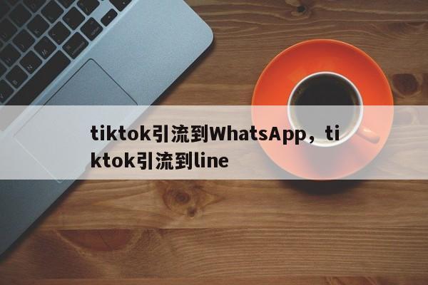 tiktok引流到WhatsApp，tiktok引流到line