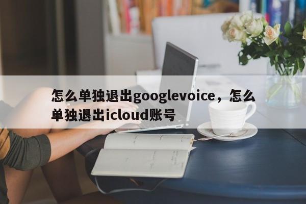 怎么单独退出googlevoice,怎么单独退出icloud账号