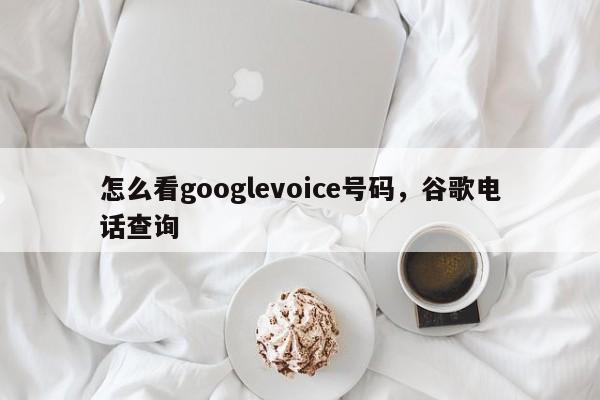怎么看googlevoice号码,谷歌电话查询