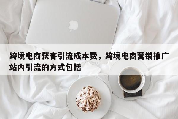 跨境电商获客引流成本费，跨境电商营销推广站内引流的方式包括