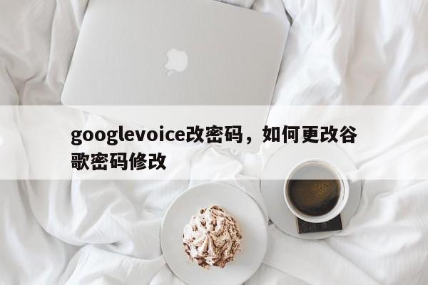 googlevoice改密码,如何更改谷歌密码修改